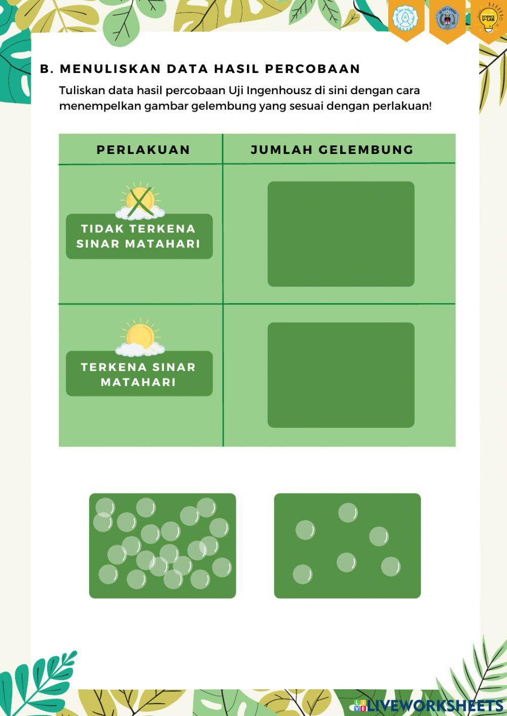 Energi dalam Sistem Kehidupan