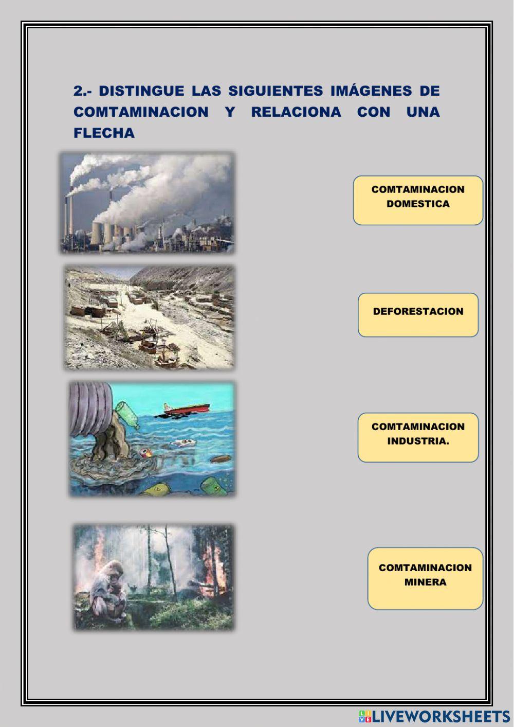 Cuidado Del Medio Ambiente