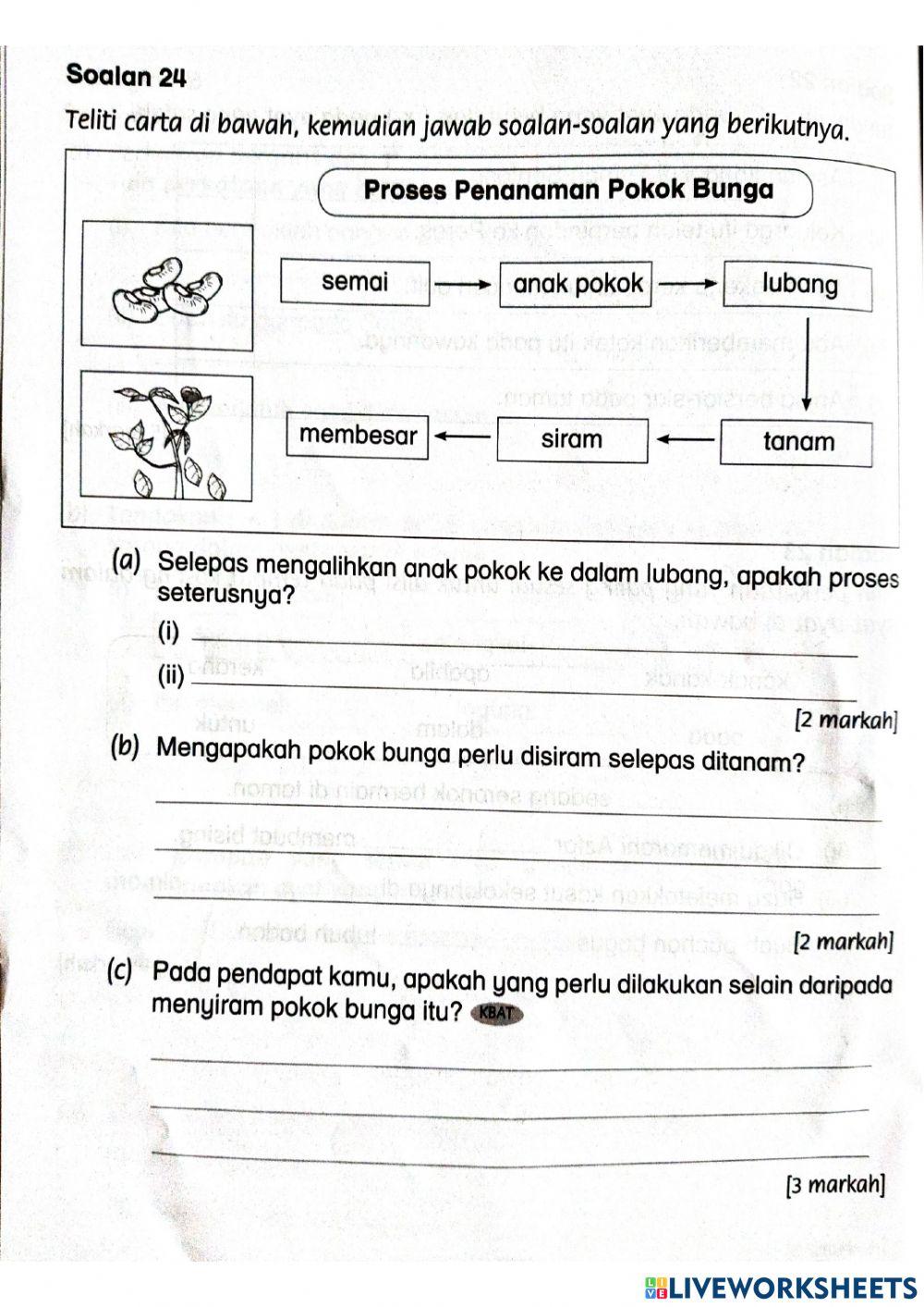 PENILAIAN PBD BAHASA MELAYU TAHUN 1 -Bahagian B