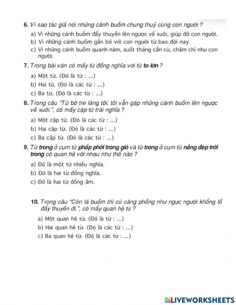 Vietnamese Comprehension 1