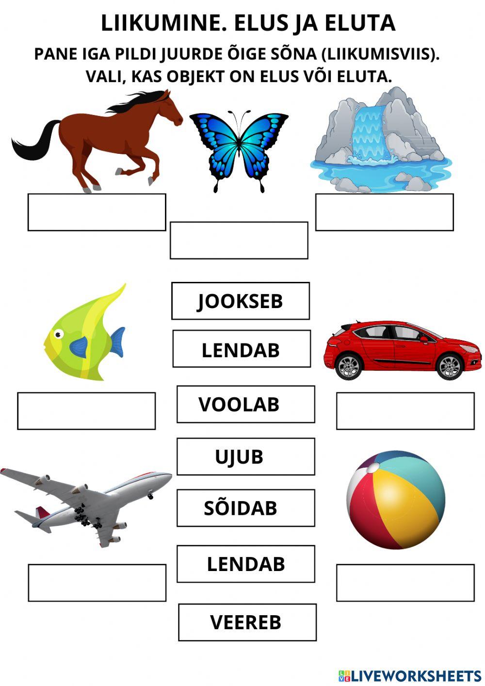 Liikumine. Elus ja eluta