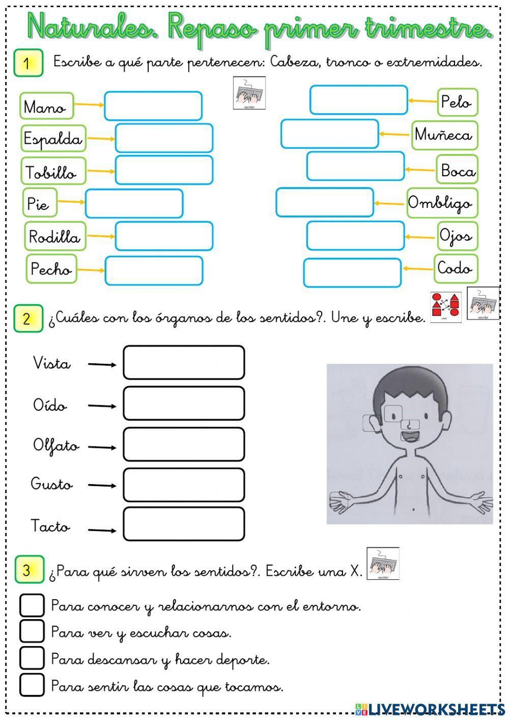 Repaso primer trimestre Naturales