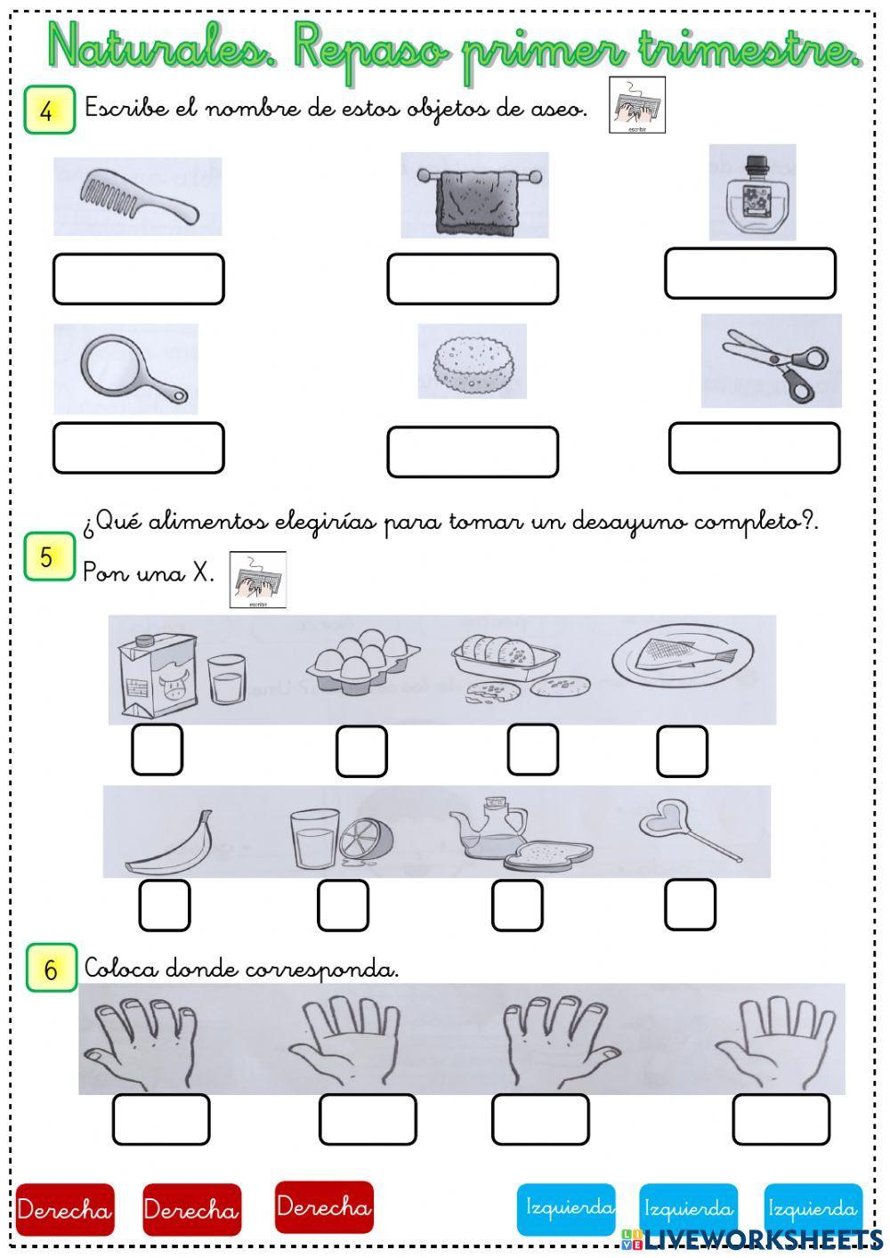 Repaso primer trimestre Naturales
