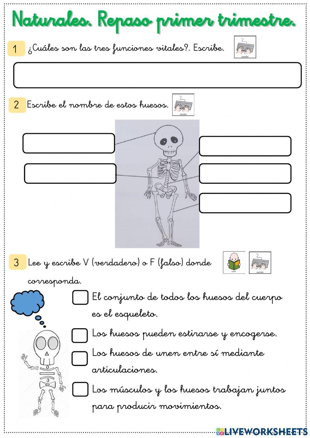 Repaso Naturales primer trimestre