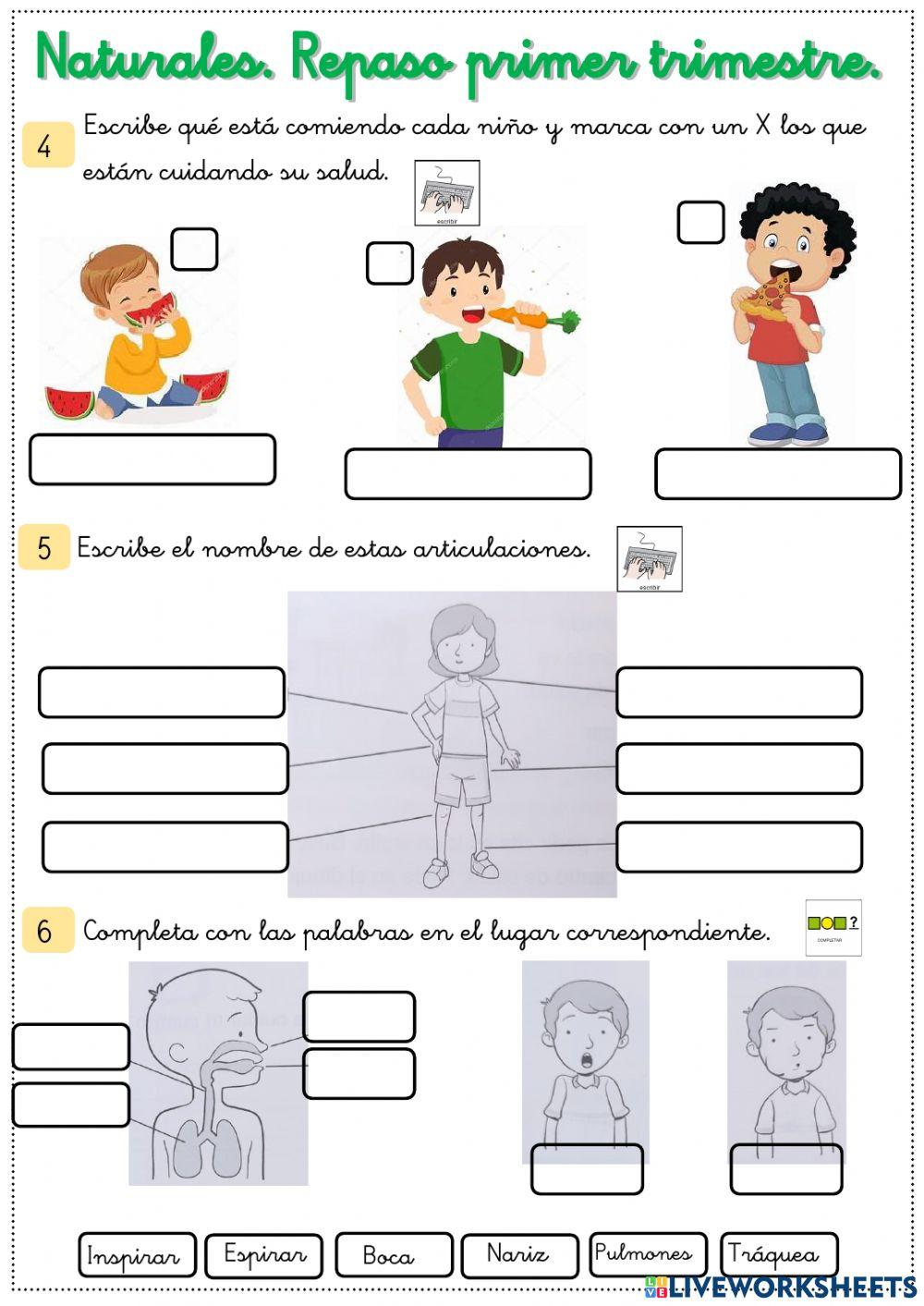 Repaso Naturales primer trimestre
