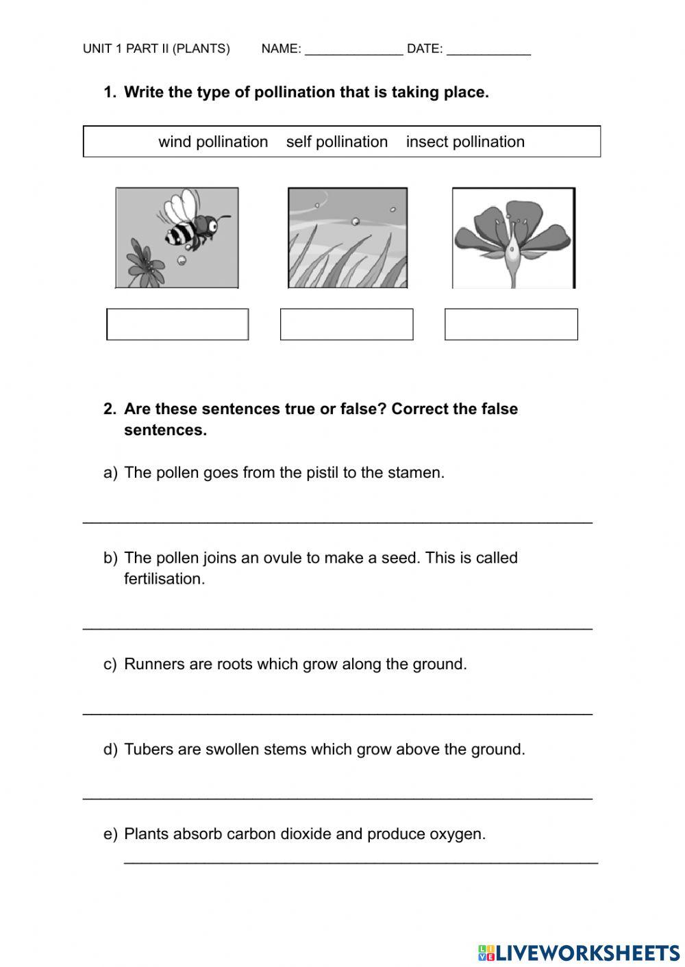 Plants exam (Unit 1 part 2)