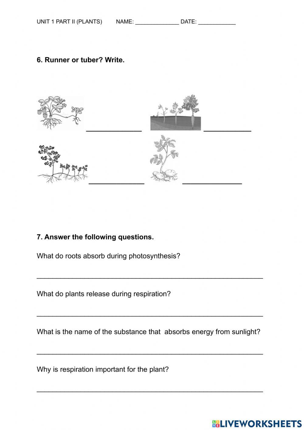 Plants exam (Unit 1 part 2)