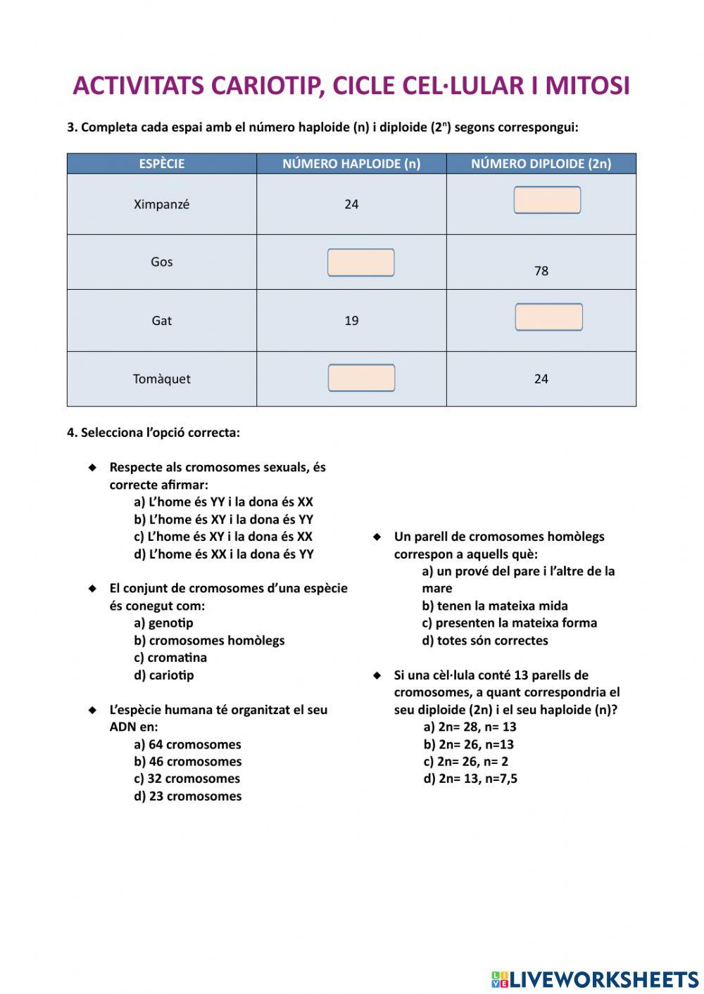 Activitats divisió cel·lular