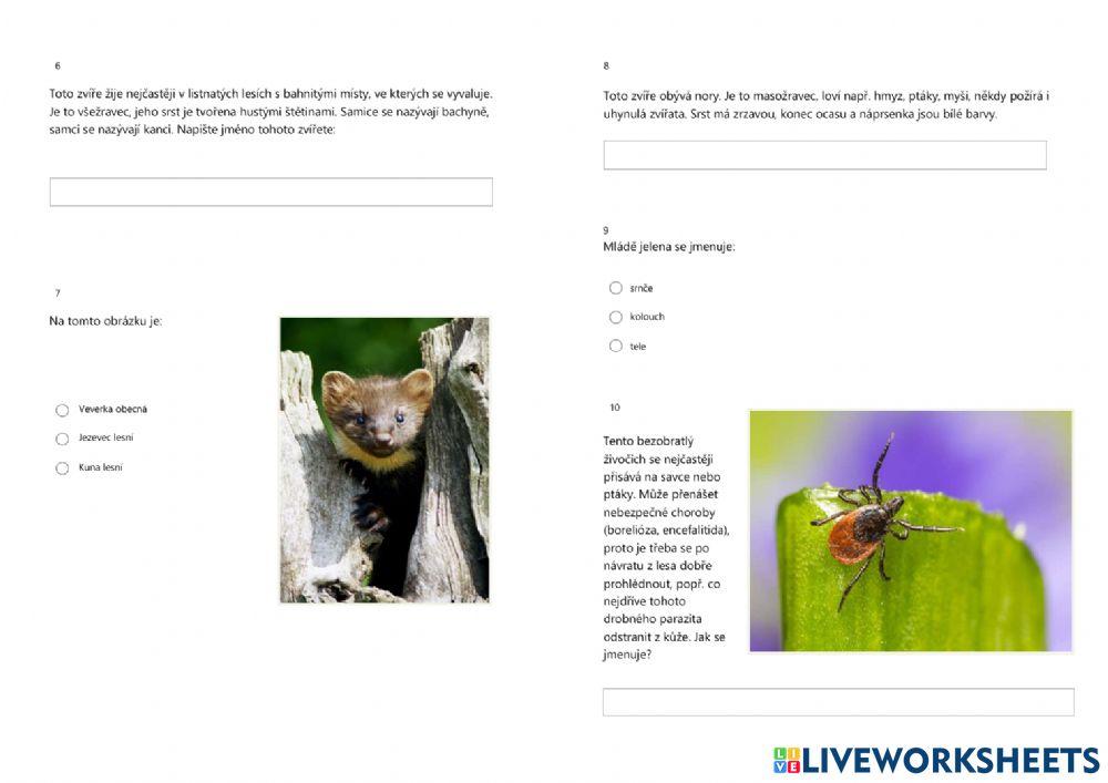 PŘ4-ekosystém LES (živočichové)