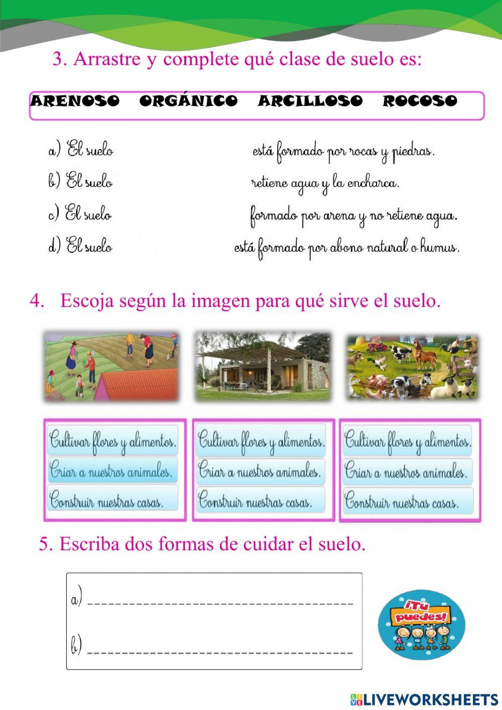 El suelo y sus tipos