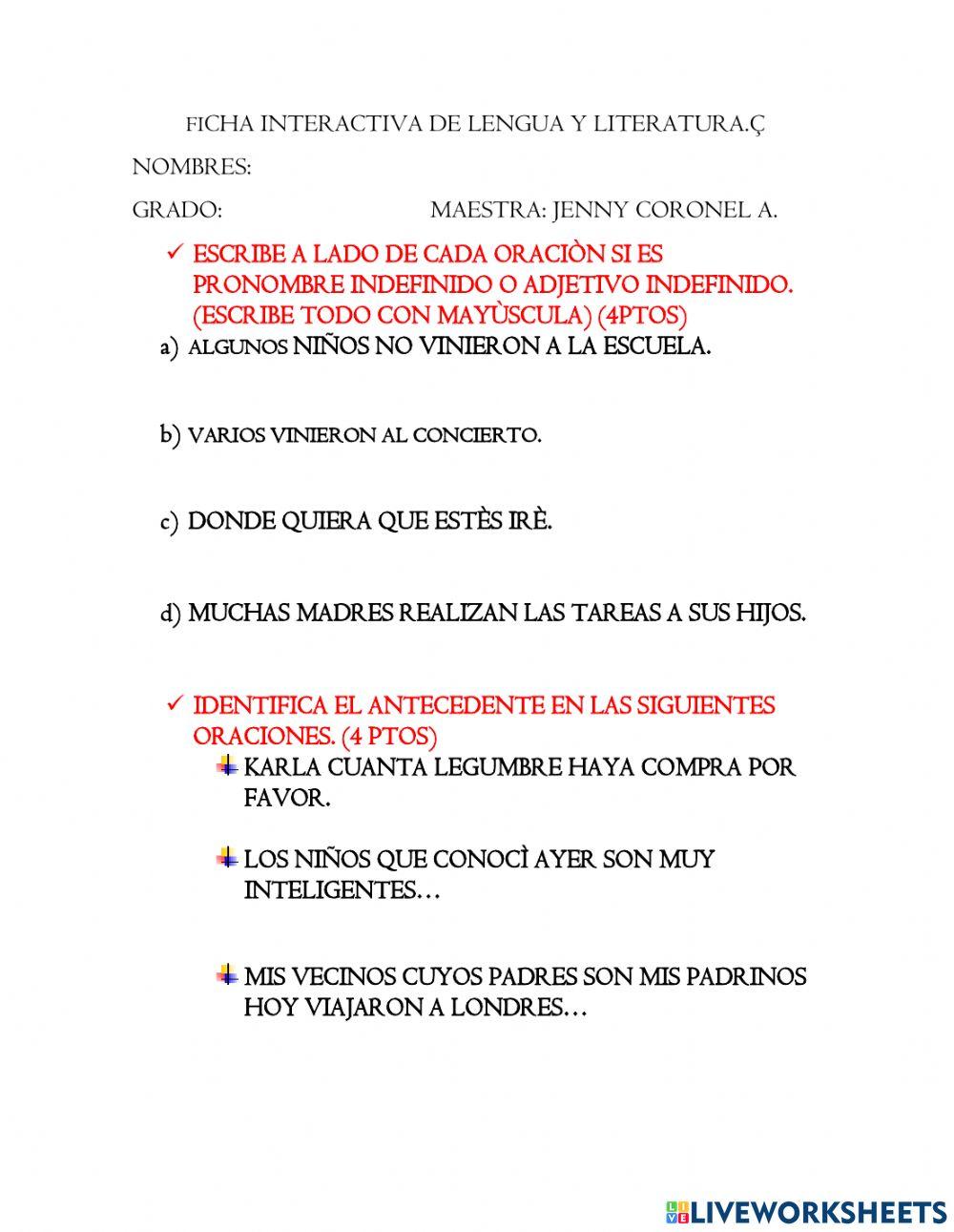 Pronombres y adjetivos relativos e indefinidos.