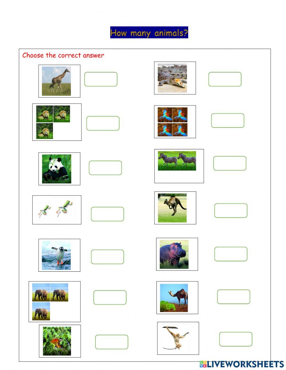 How many animals online worksheet | Live Worksheets