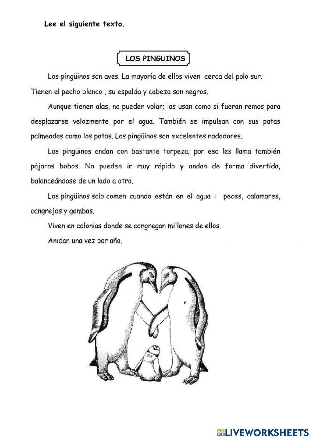 Examen bimestral de comunicación