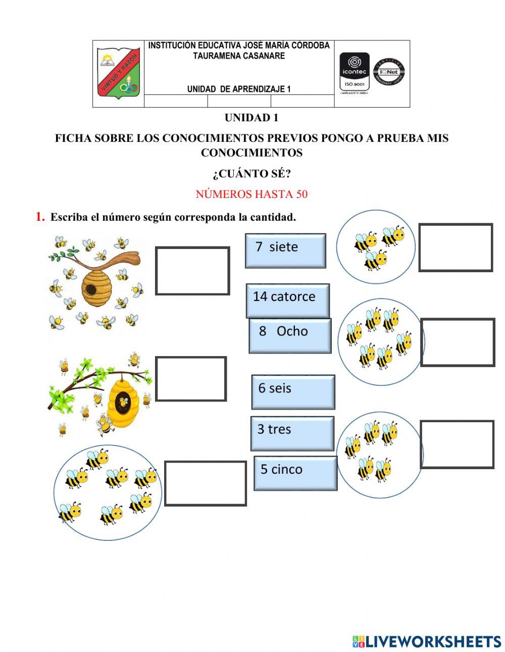 Numeros hasta 50