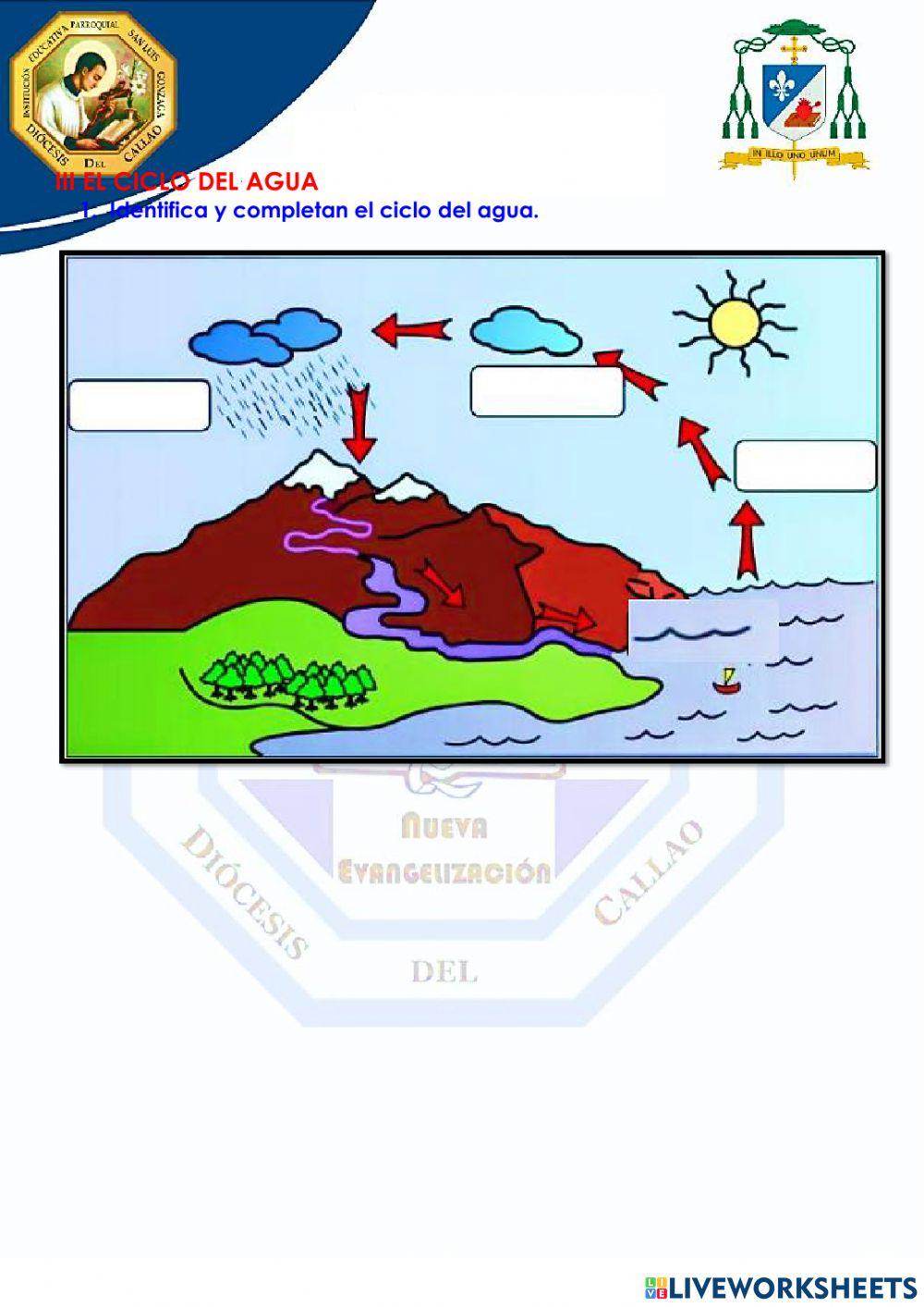 Evaluación de ciencias