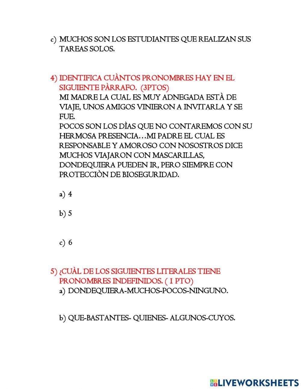 Pronombres relativos -indefinidos.