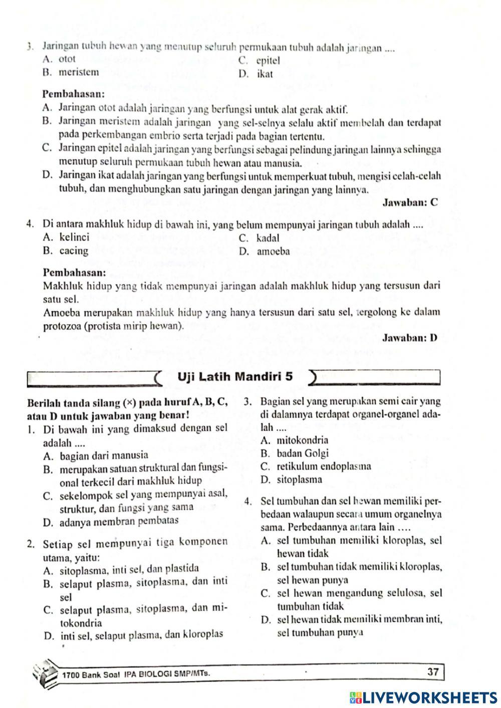 Bab 5 Organisasi Kehidupan