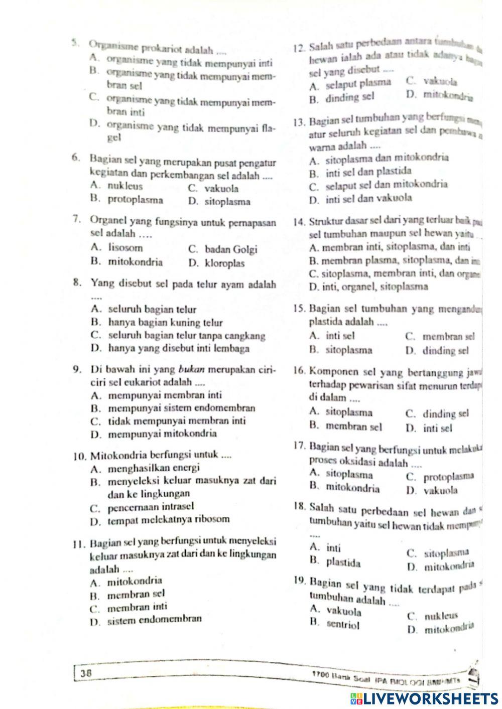 Bab 5 Organisasi Kehidupan