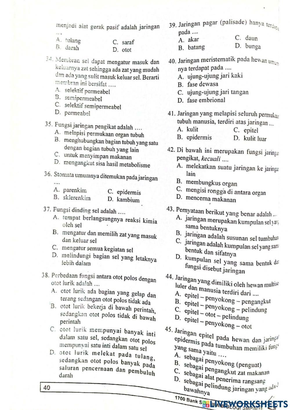 Bab 5 Organisasi Kehidupan