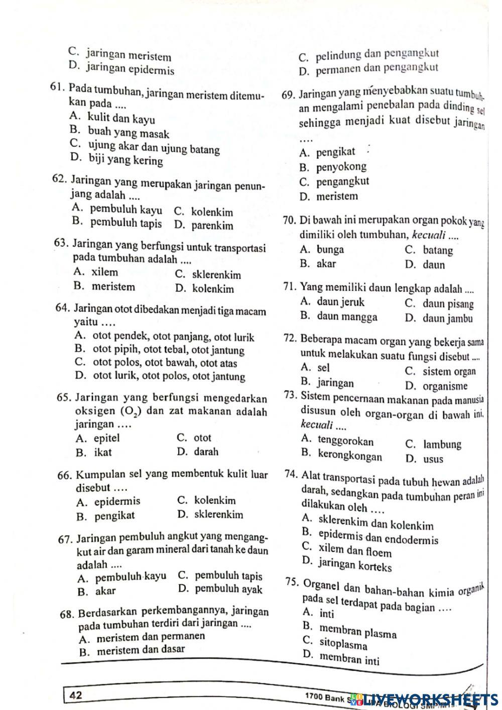 Bab 5 Organisasi Kehidupan