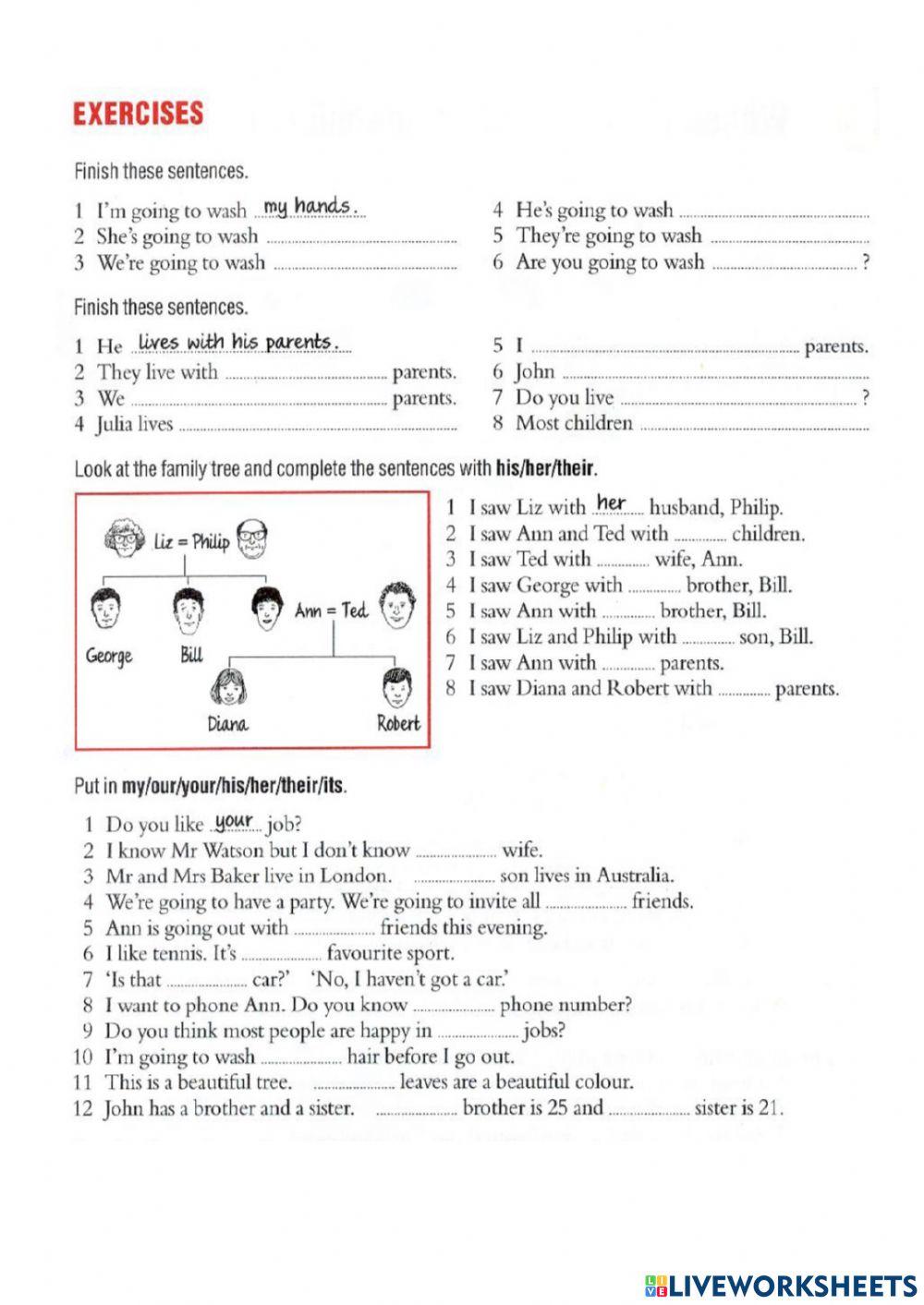 Possessive adjective