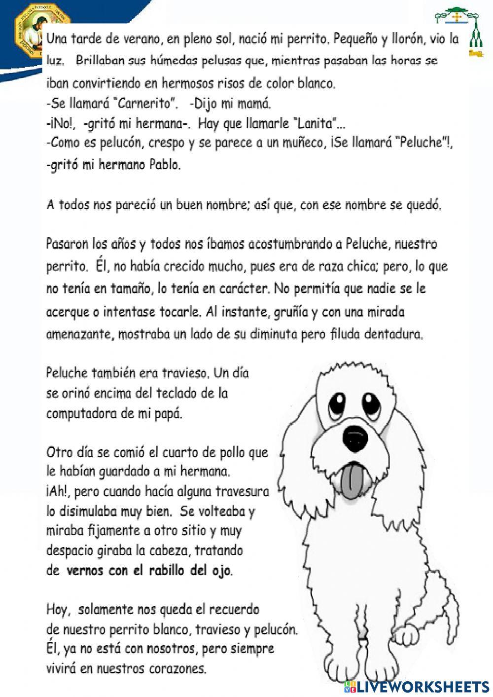 Evaluación decomunicación