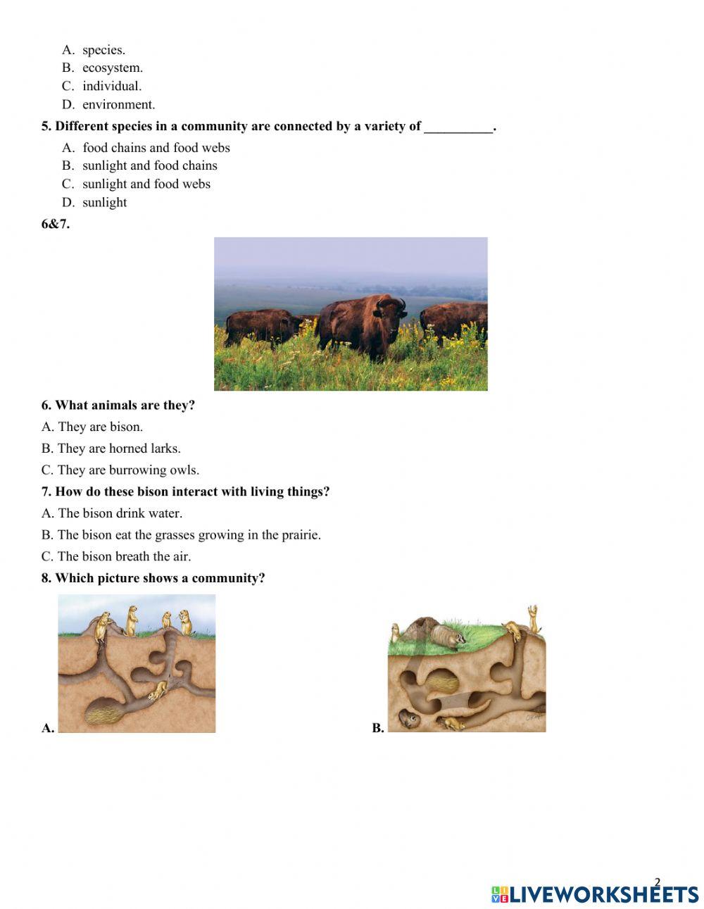 7clc-science-study guide-1st end term