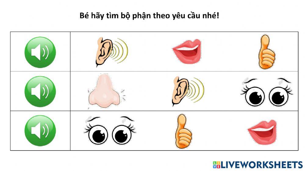 Nhận biết các giác quan