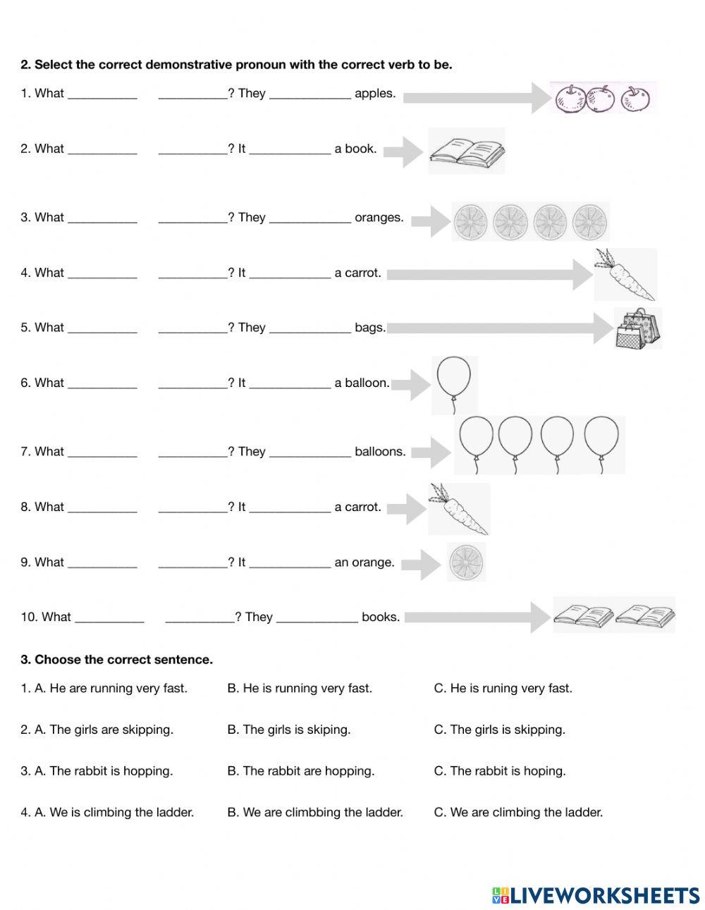 Demonstrative Pronouns + Vocabulary