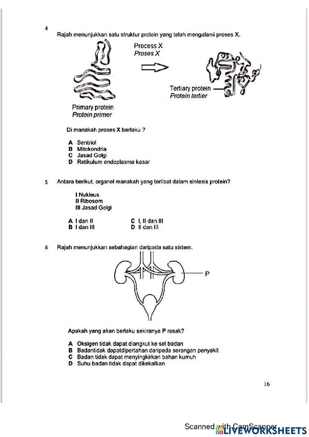 Modul Hebat Edisi 2021 Biologi Tingkatan 4 Bab 2