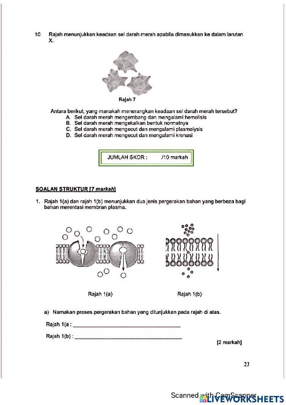 Modul Hebat Edisi 2021 Biologi Tingkatan 4 bab 3