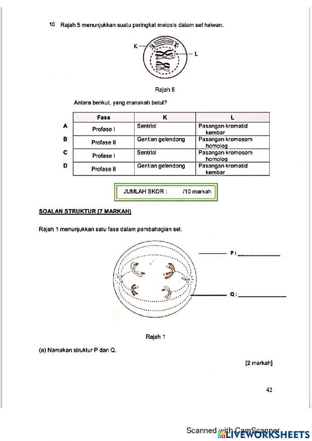 Modul Hebat edisi 2021 Biologi Tingkatan 4 Bab 6