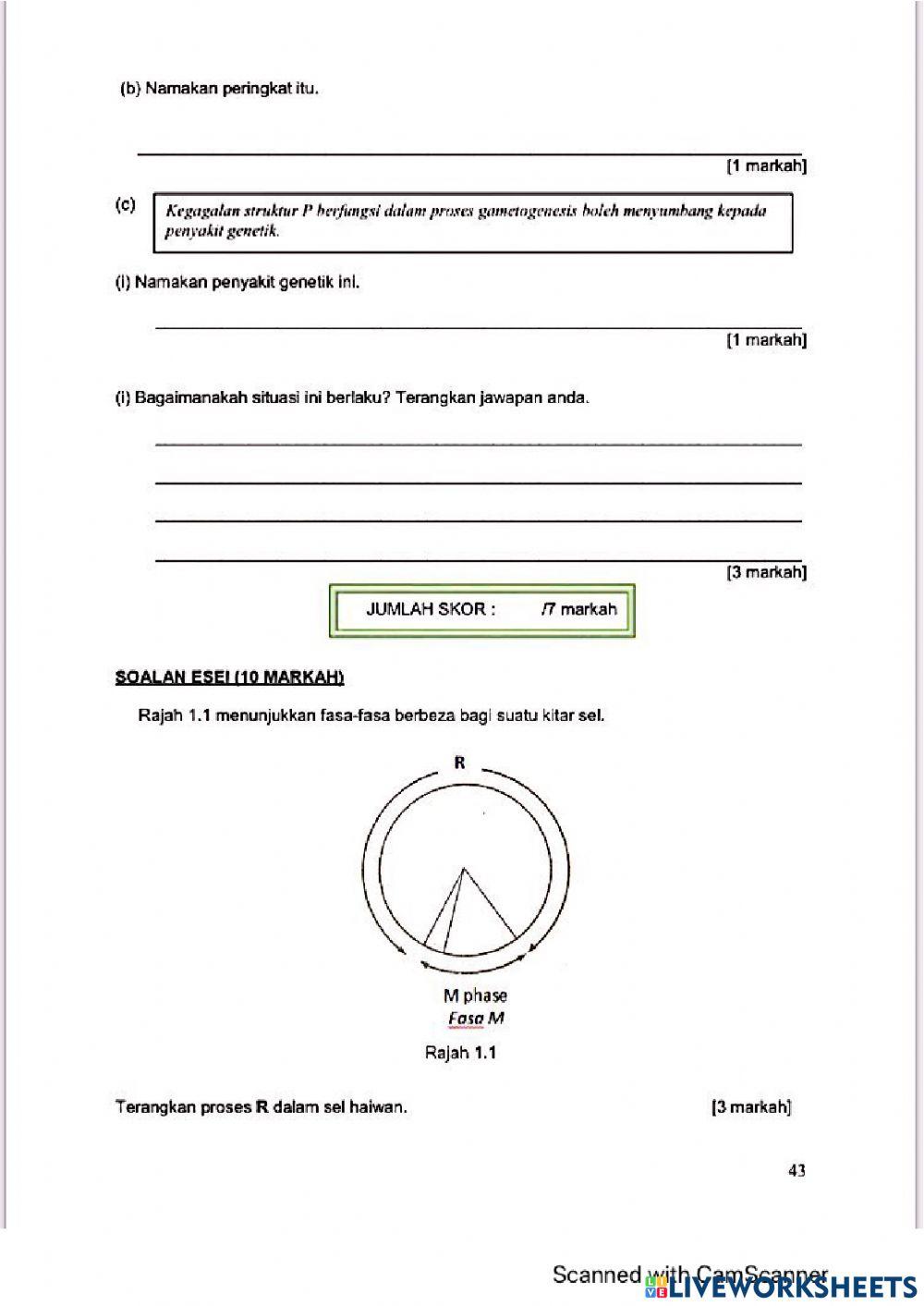 Modul Hebat edisi 2021 Biologi Tingkatan 4 Bab 6