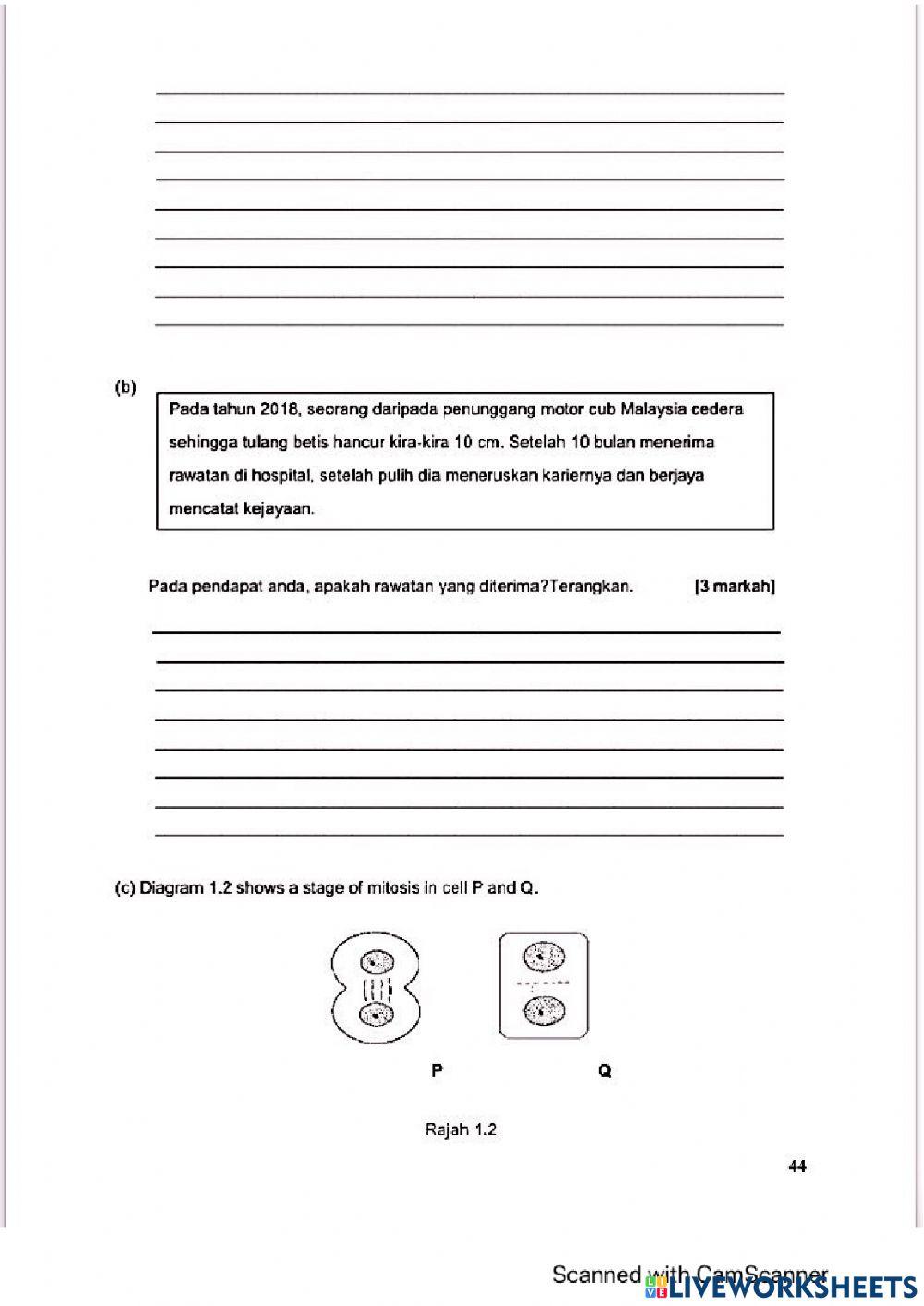 Modul Hebat edisi 2021 Biologi Tingkatan 4 Bab 6