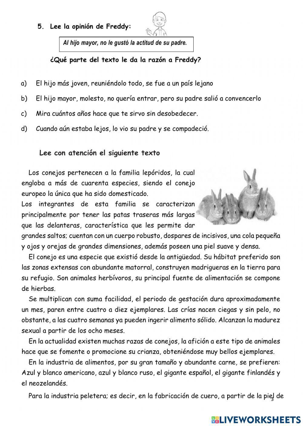 Evaluación comprensión lectora