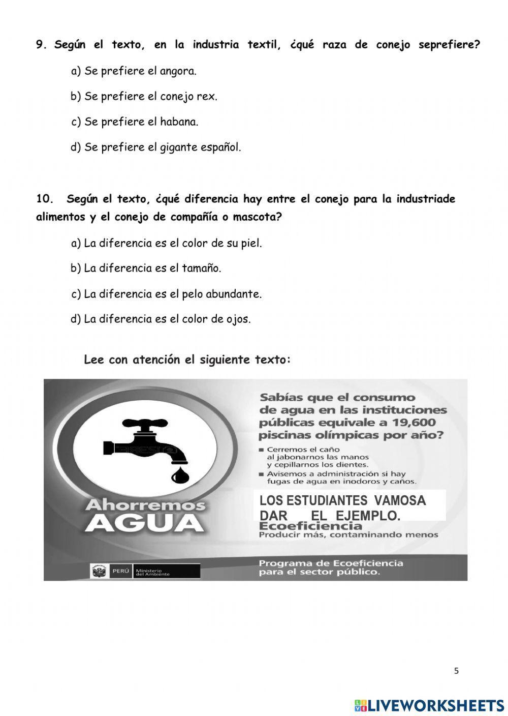 Evaluación comprensión lectora