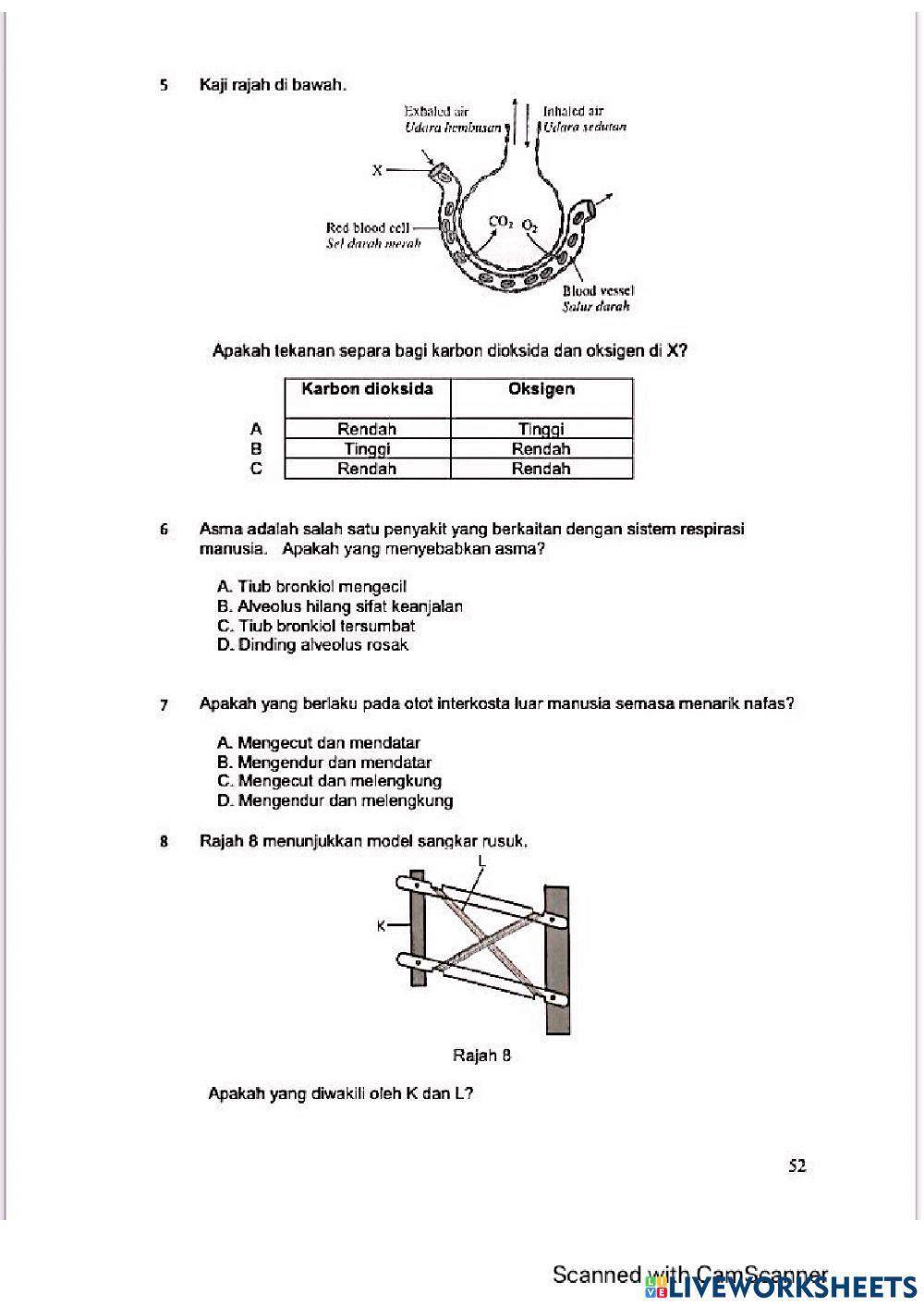 Modul Hebat edisi 2021 Biologi Tingkatan 4 Bab 8