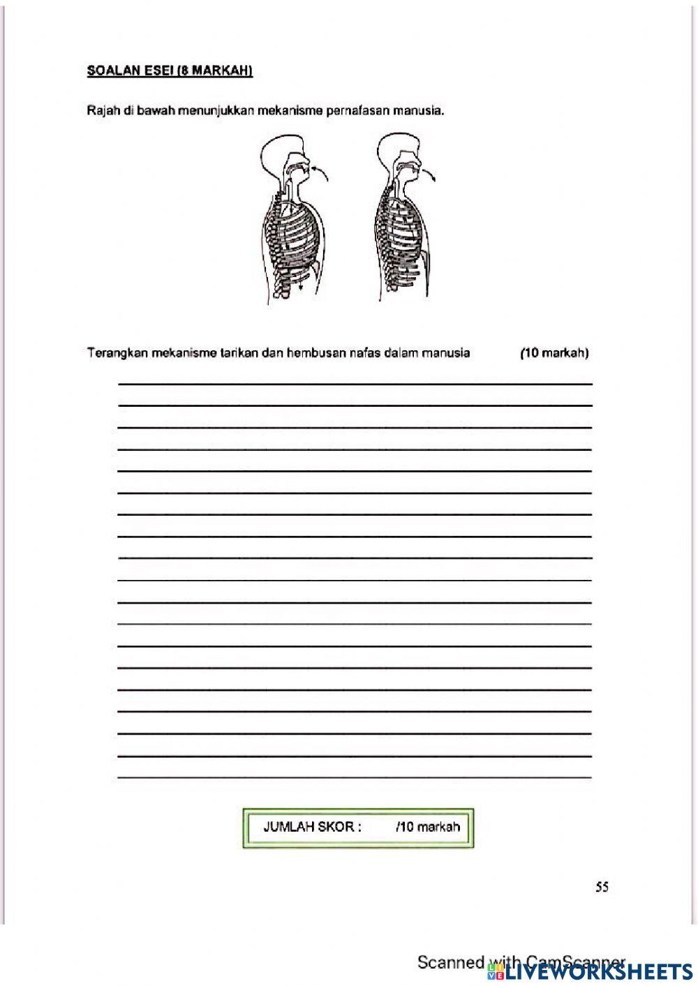 Modul Hebat edisi 2021 Biologi Tingkatan 4 Bab 8