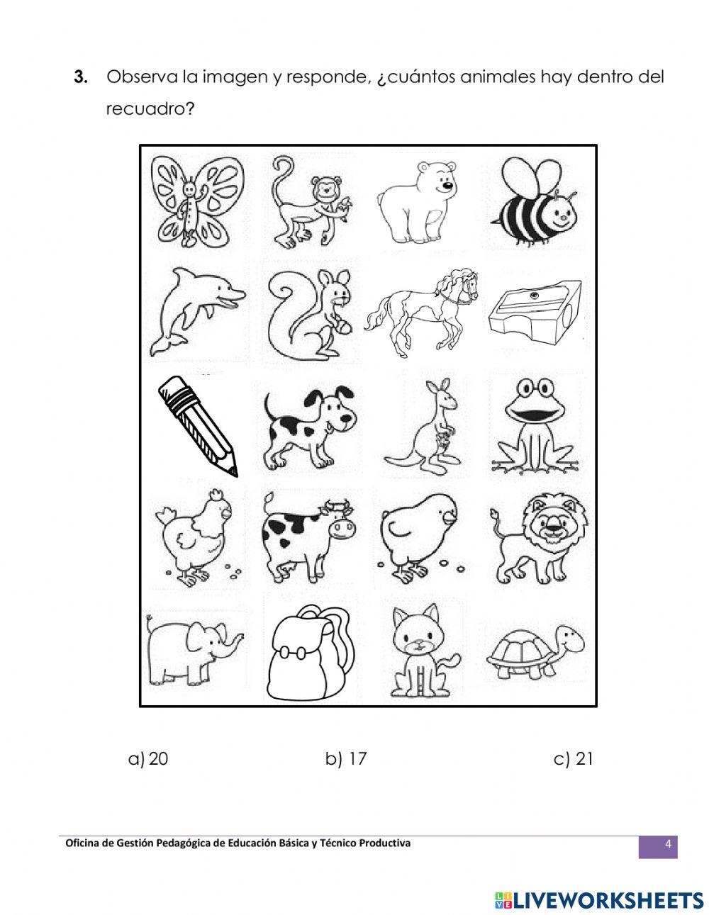 Evaluación de matemática 2021