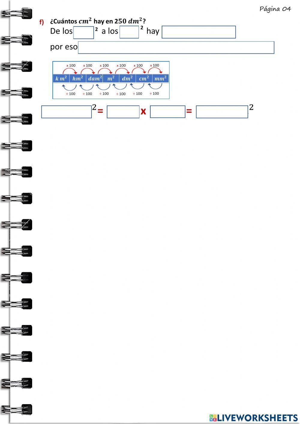 Unidad de superficie