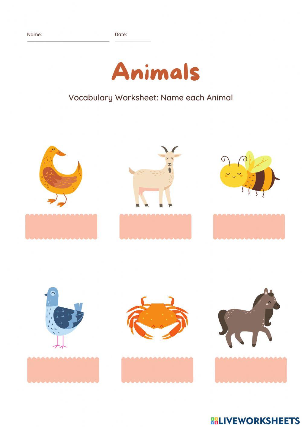 Animals
