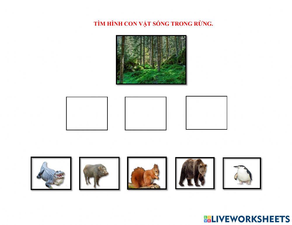 Cuốn MTXQ - Trang 14 - Lớp Mầm (3-4 tuổi)