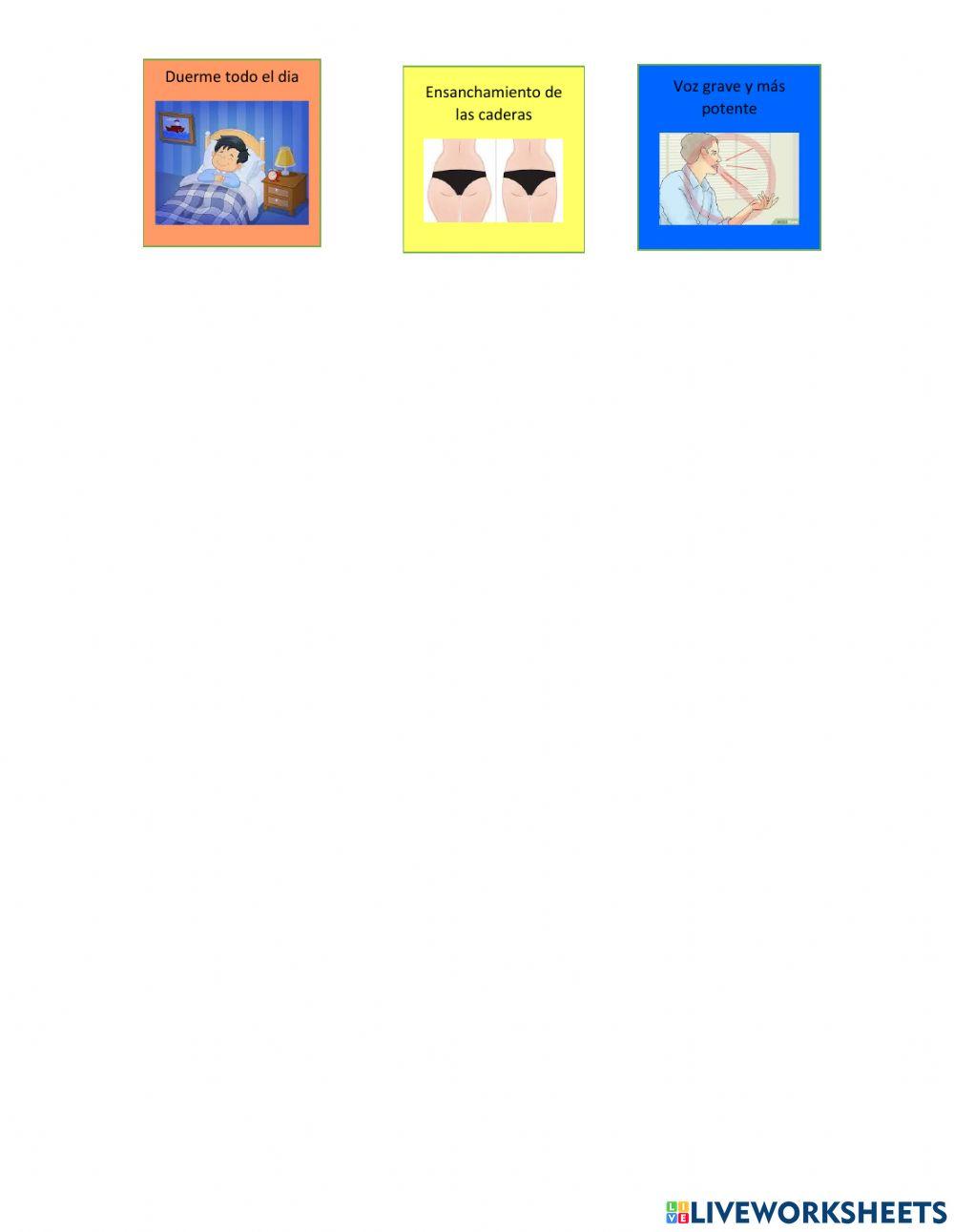 Evaluación El sistema Endócrino