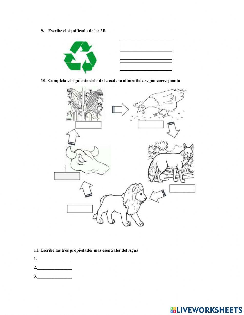 Examen de ciencias naturales 1° parcial - 2° quimestre