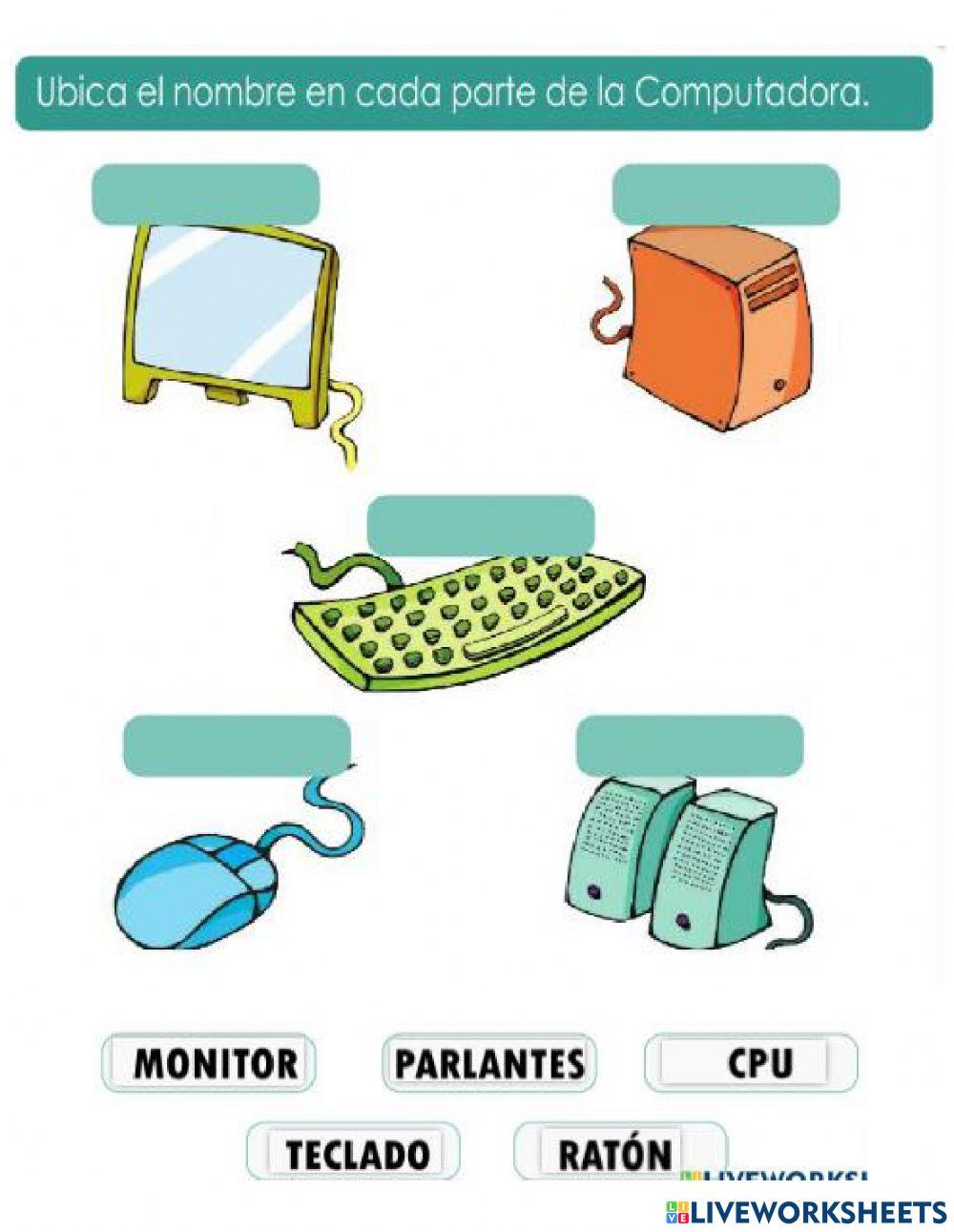 Partes de la computadora