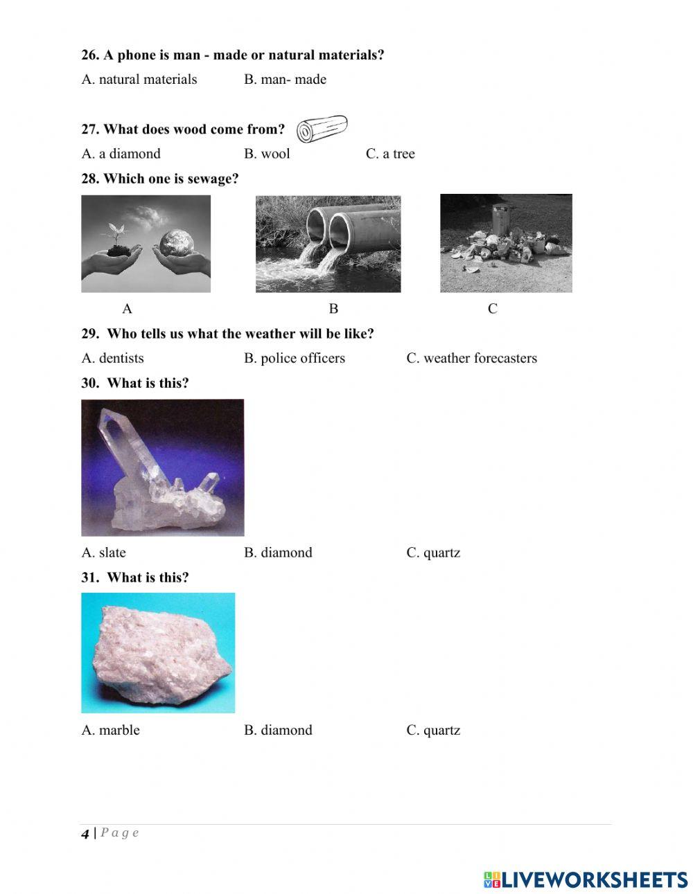 Science 2 - Semester I - Revision worksheet | Live Worksheets
