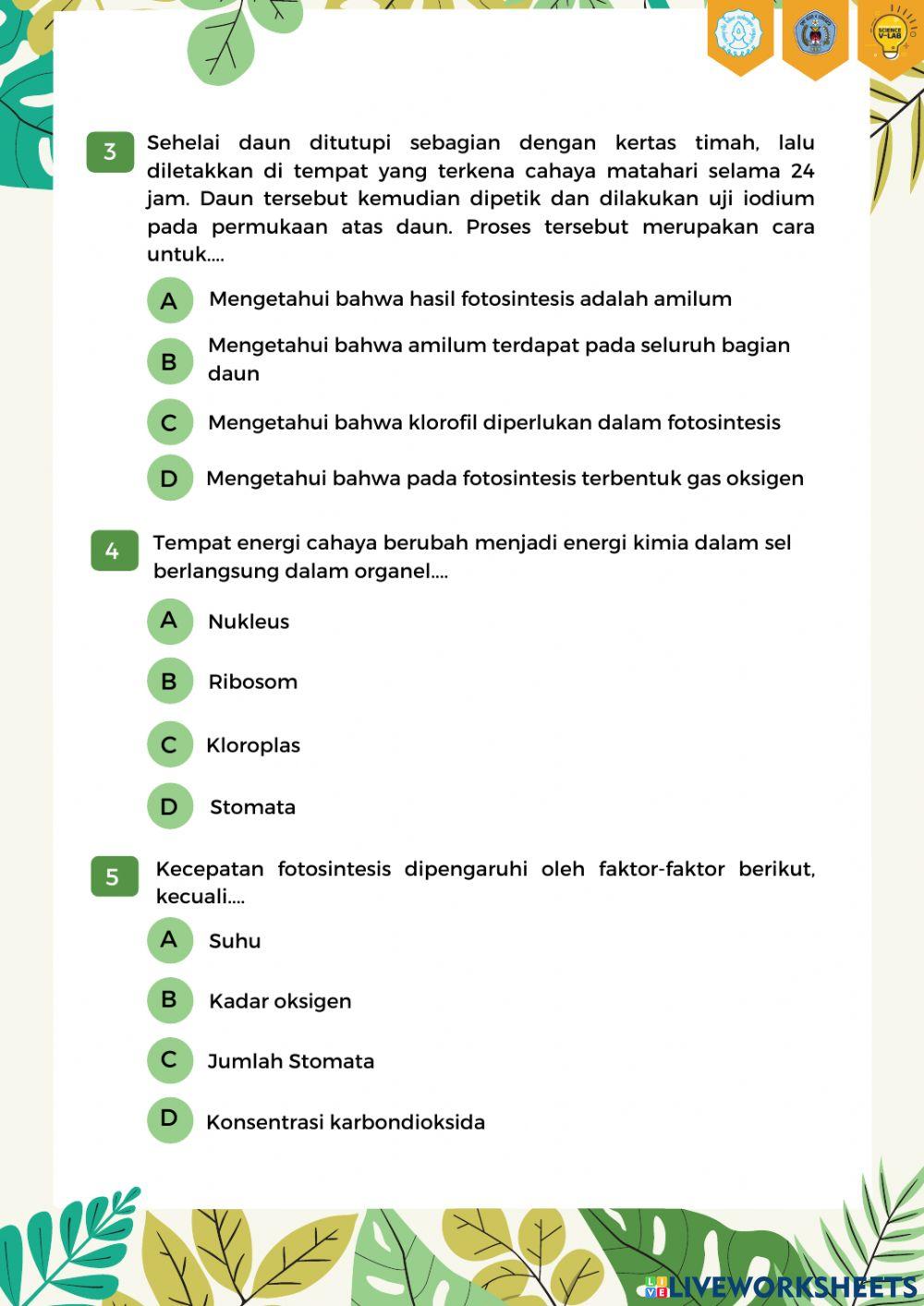 Percobaan Ingenhousz