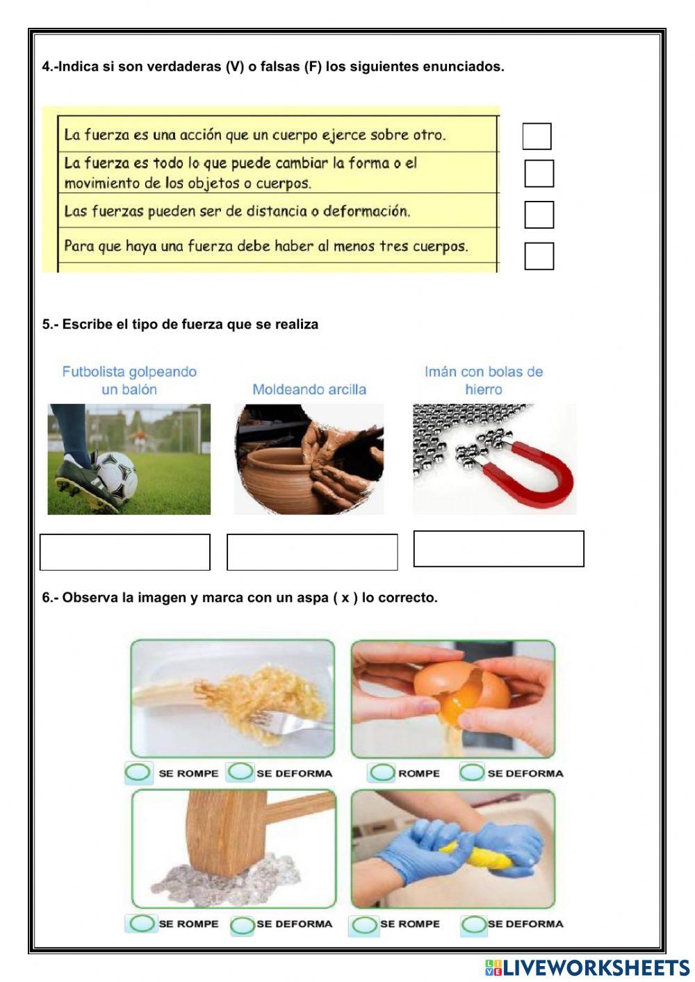 Examen bimestral de ciencia y tecnología