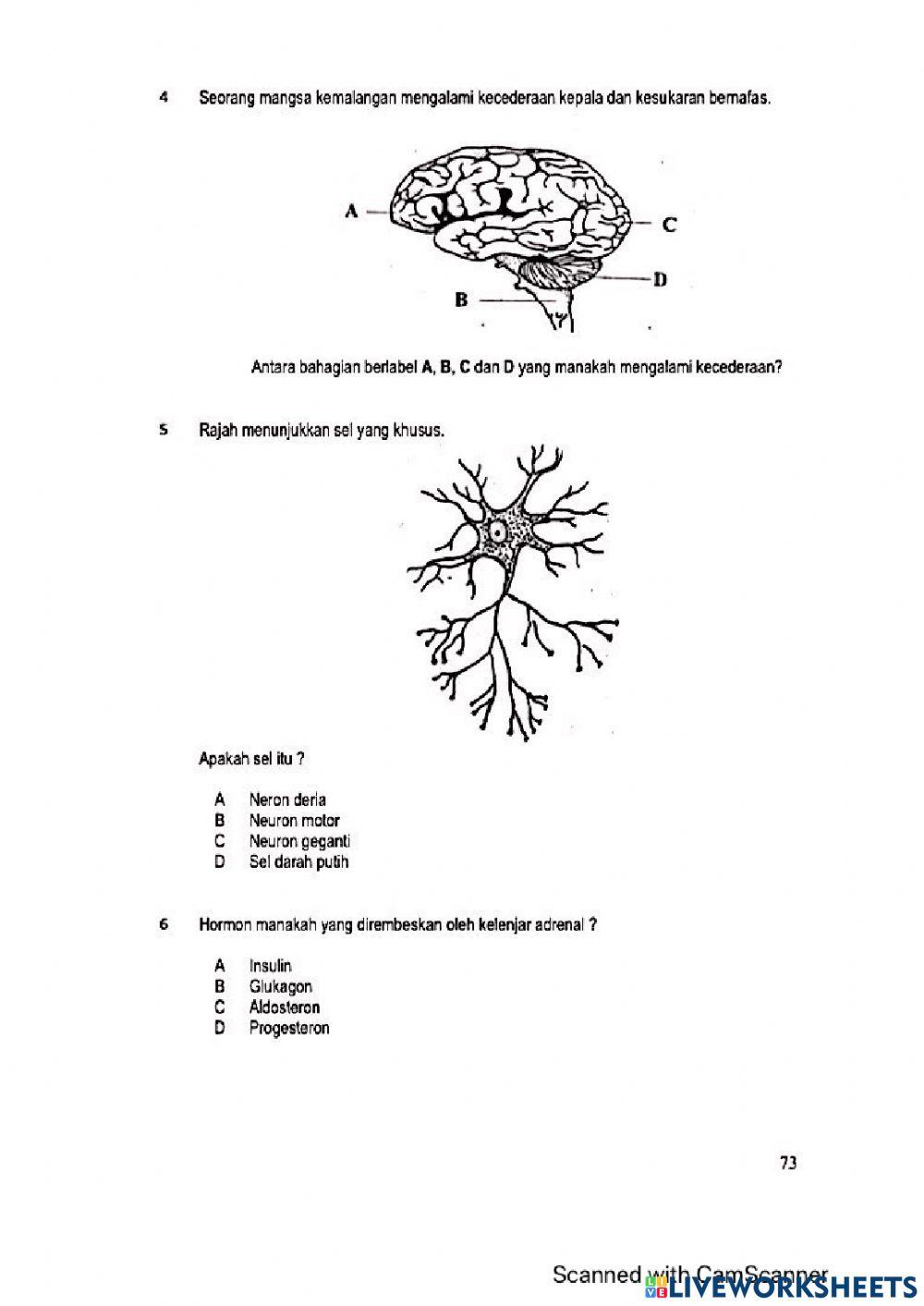 Modul Hebat Edisi 2021 Biologi Tingkatan 4 Bab 12