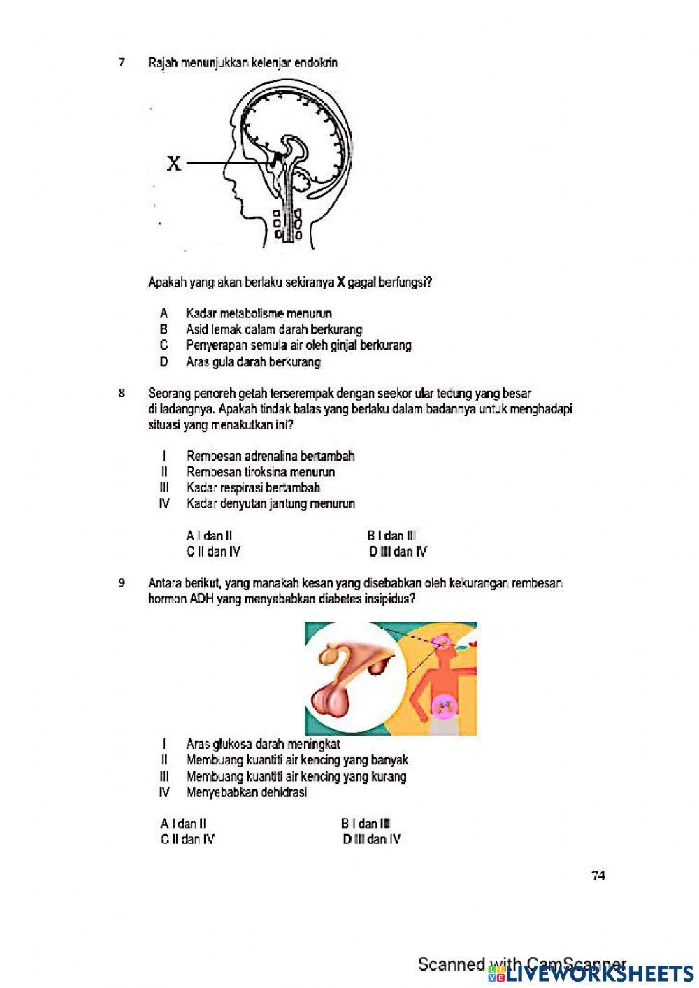 Modul Hebat Edisi 2021 Biologi Tingkatan 4 Bab 12
